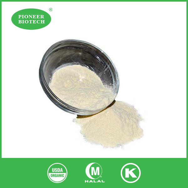 ceramide powder bulk